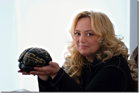 pfe1tk0h