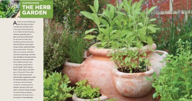 Идеальный сад: новое руководство от Gardening Know How
