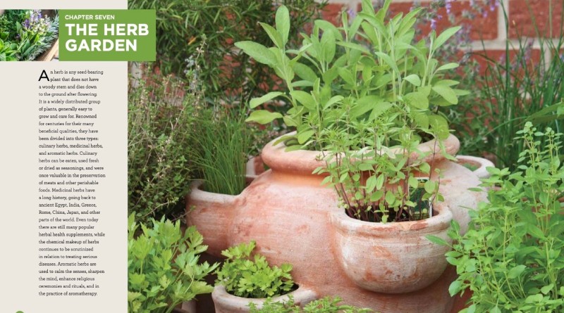 Идеальный сад: новое руководство от Gardening Know How